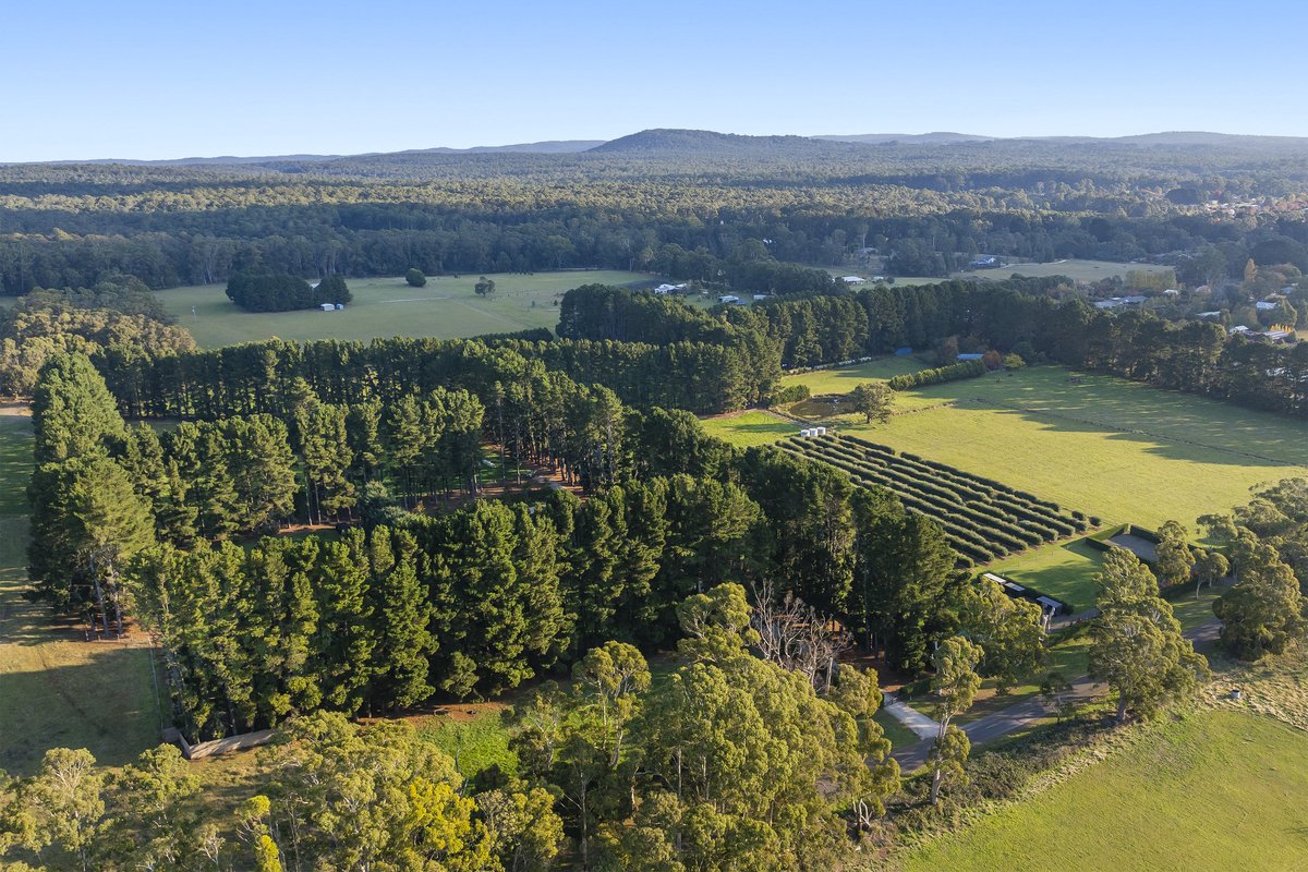 The Rare Regional Properties Capturing Buyers' Attention
