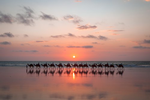 Broome Camels.jpg