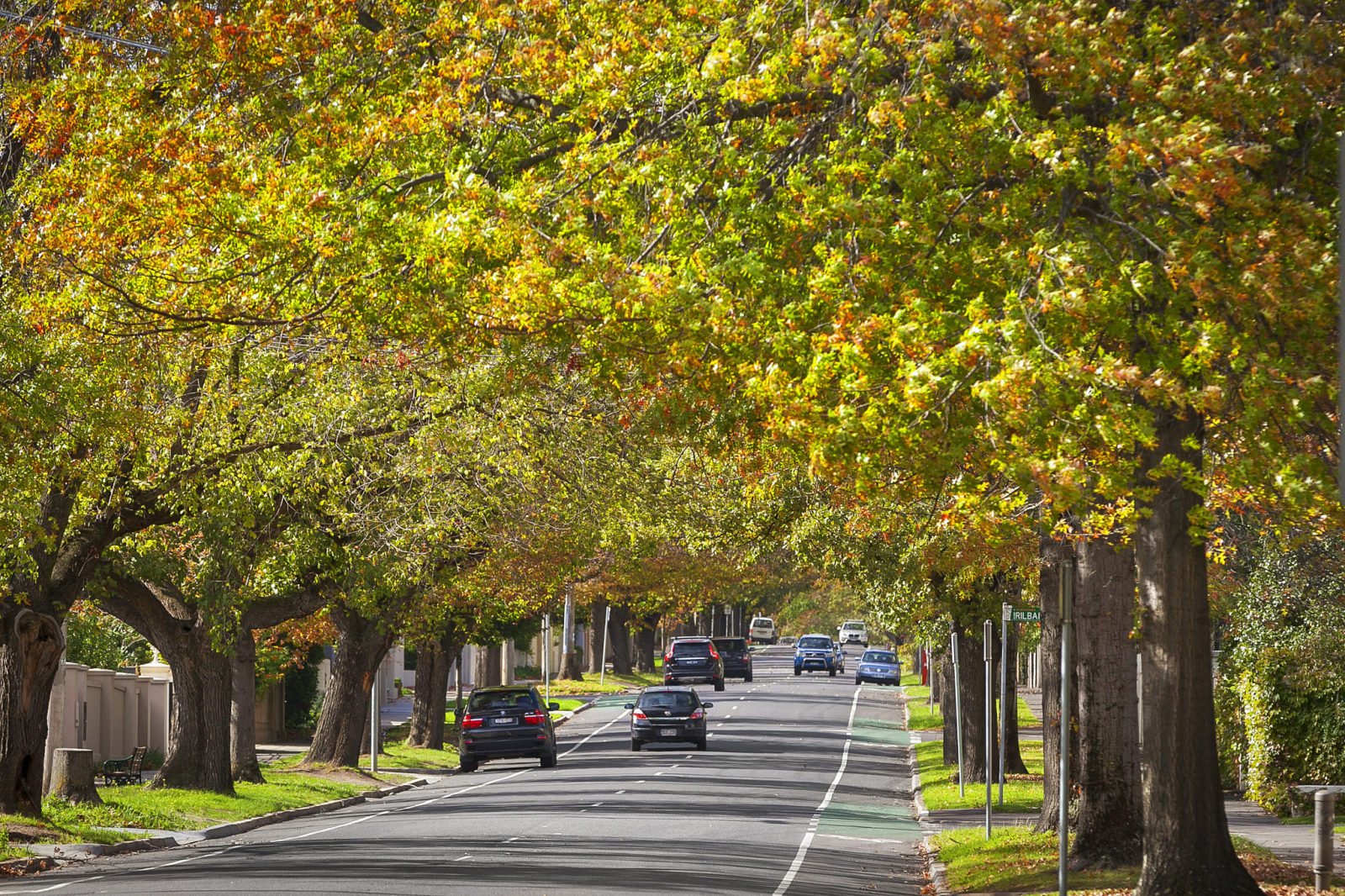 The Beauty of Boroondara RT Edgar